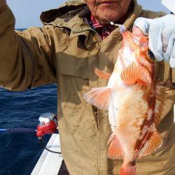 第三むつりょう丸 釣果