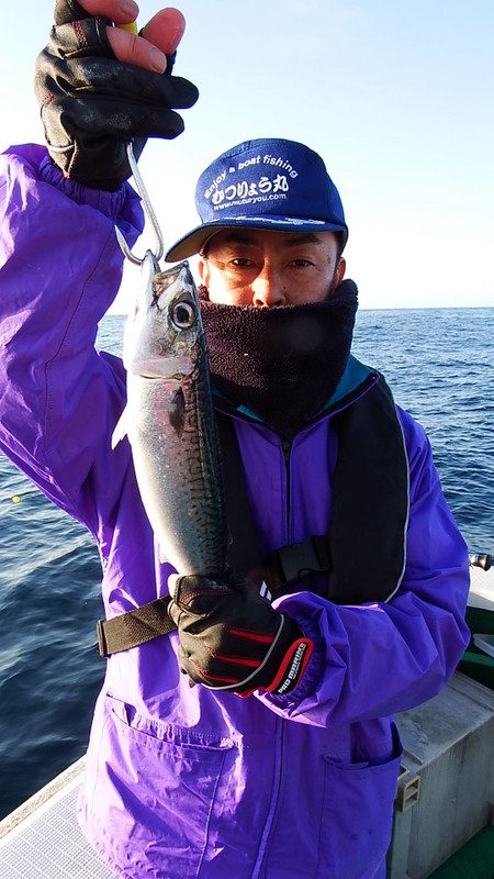 第三むつりょう丸 釣果