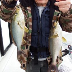 第三むつりょう丸 釣果