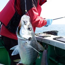 第三むつりょう丸 釣果