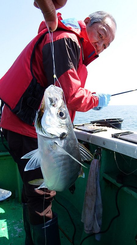 第三むつりょう丸 釣果