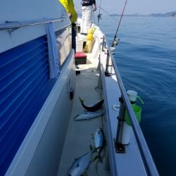 遊漁船 ニライカナイ 釣果