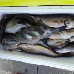 第二大福丸 釣果