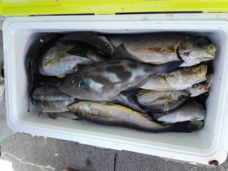 第二大福丸 釣果