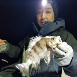 Magic（マジック） 釣果