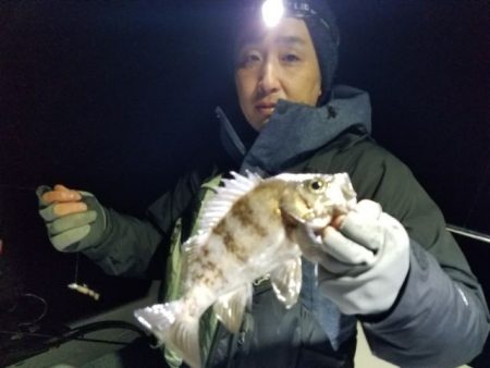 Magic（マジック） 釣果