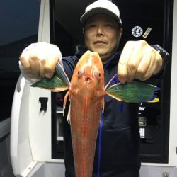 ミタチ丸 釣果