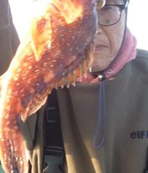 松福丸 釣果