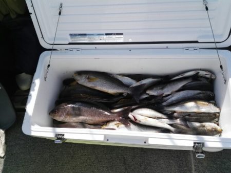 第二大福丸 釣果