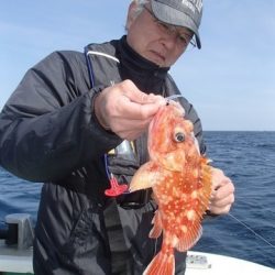 第二むつ漁丸 釣果