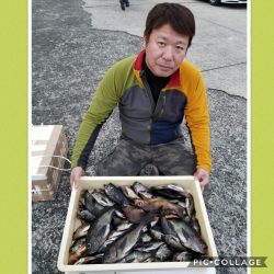 桑田観光 釣果