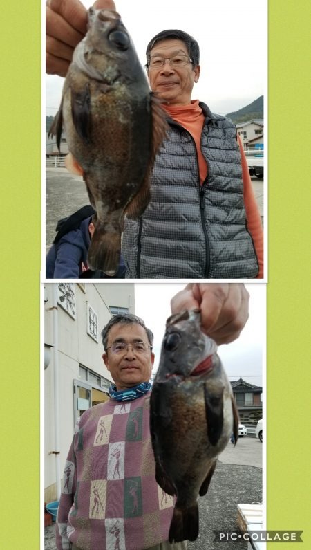桑田観光 釣果