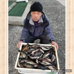 桑田観光 釣果
