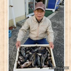 桑田観光 釣果
