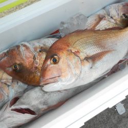 こうゆう丸 釣果