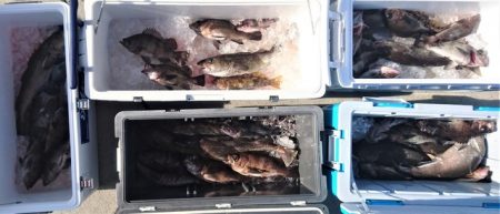 気仙沼　つり丸 釣果