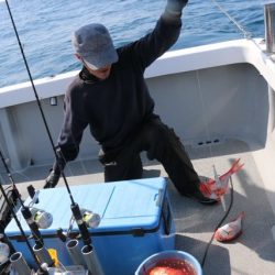 へいみつ丸 釣果