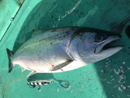 広進丸 釣果