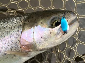 フィッシング サンクチュアリ 釣果