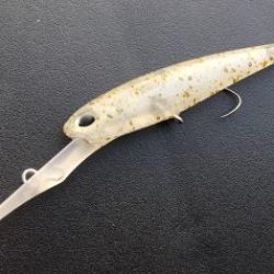 フィッシング サンクチュアリ 釣果