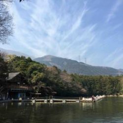 フィッシング サンクチュアリ 釣果