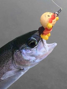 フィッシング サンクチュアリ 釣果