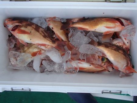 第二むつ漁丸 釣果