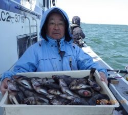 石川丸 釣果