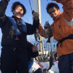 シーモンキー 釣果