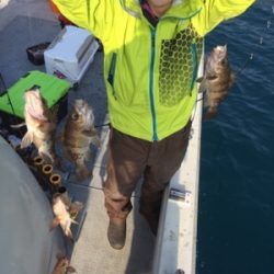 シーモンキー 釣果