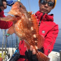 シーモンキー 釣果