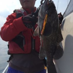 シーモンキー 釣果