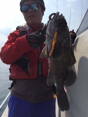 シーモンキー 釣果