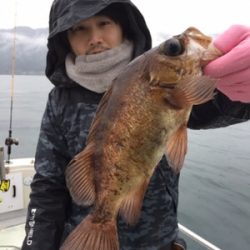 シーモンキー 釣果