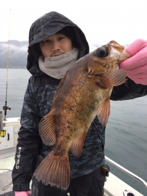 シーモンキー 釣果