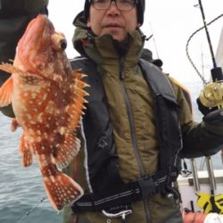 シーモンキー 釣果