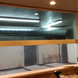 リトルワン 釣果