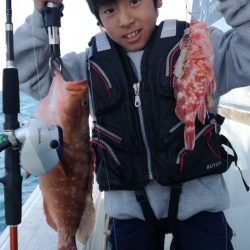 リトルワン 釣果