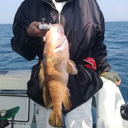 リトルワン 釣果