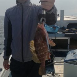 リトルワン 釣果