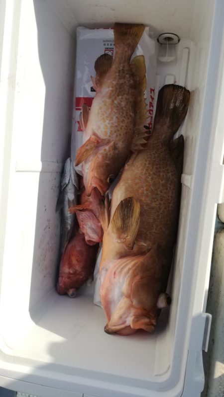 リトルワン 釣果