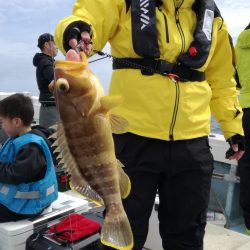 リトルワン 釣果