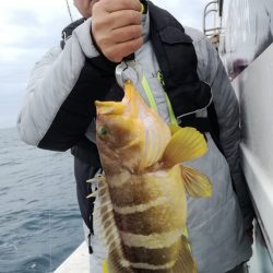 リトルワン 釣果