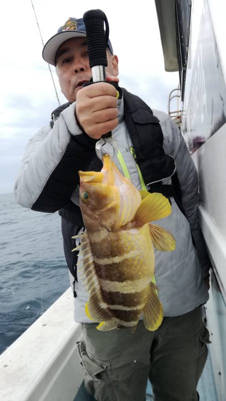 リトルワン 釣果