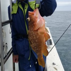 リトルワン 釣果