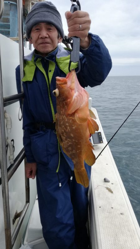 リトルワン 釣果