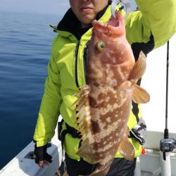 リトルワン 釣果