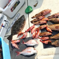 リトルワン 釣果