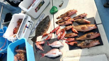 リトルワン 釣果