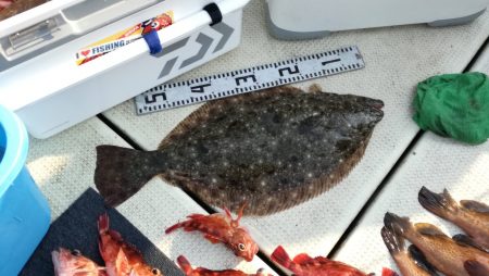 リトルワン 釣果